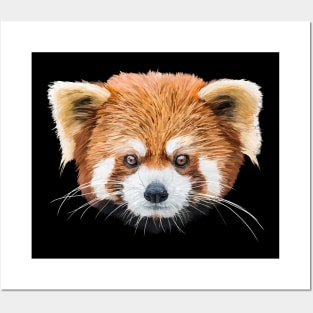 Red panda Posters and Art